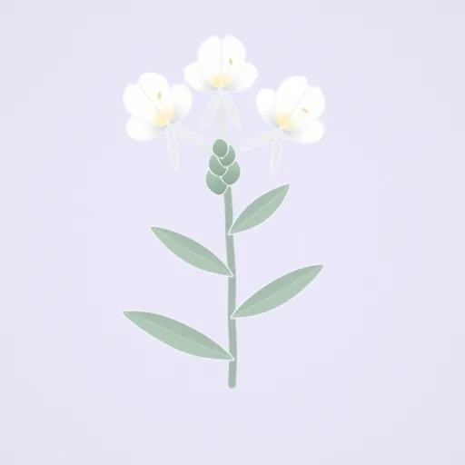 野薑花