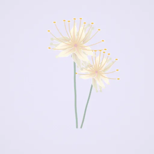白花石蒜