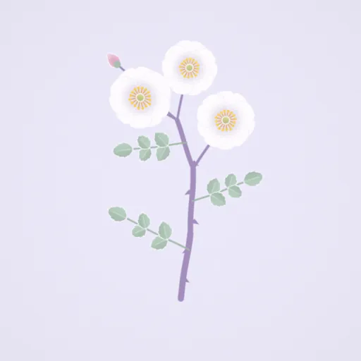 野薔薇